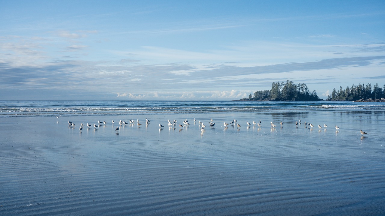 The Quiet Retreats of Canada’s Vancouver Island
